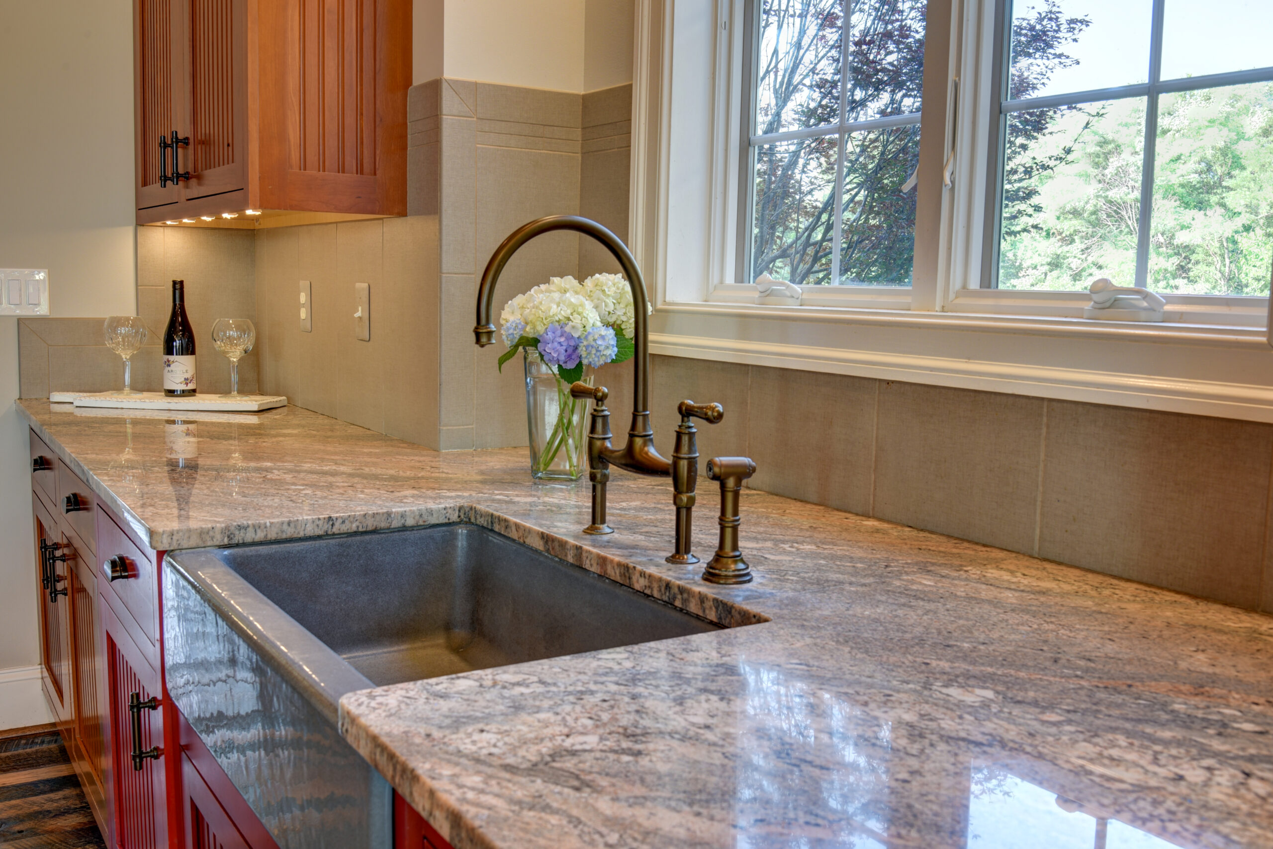 Kitchen Sink and Counter